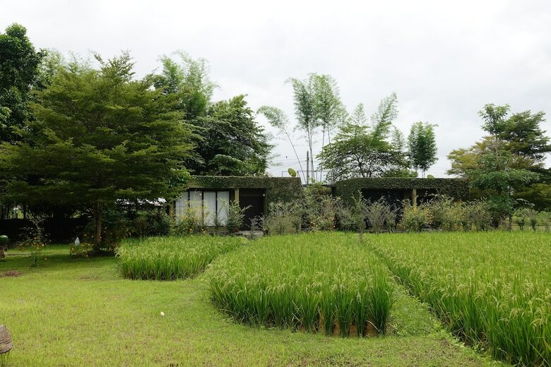 Hotel Love Pai Home