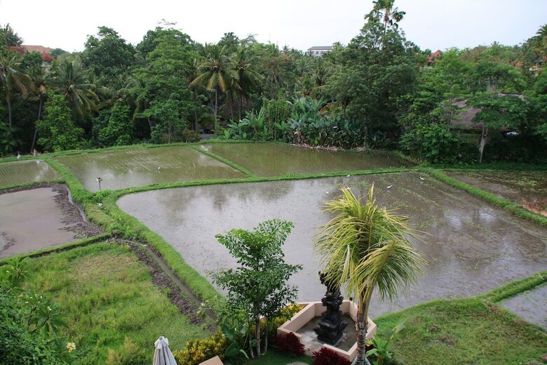 Hotel Byasa Ubud