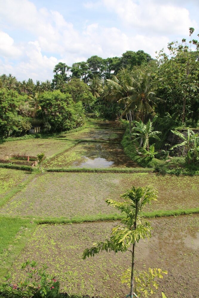 Hotel Byasa Ubud