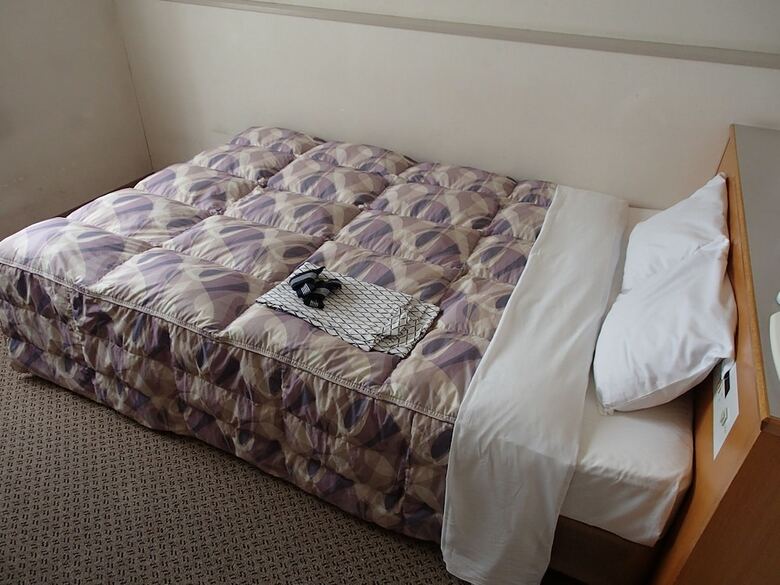 Hotel Shinsuien