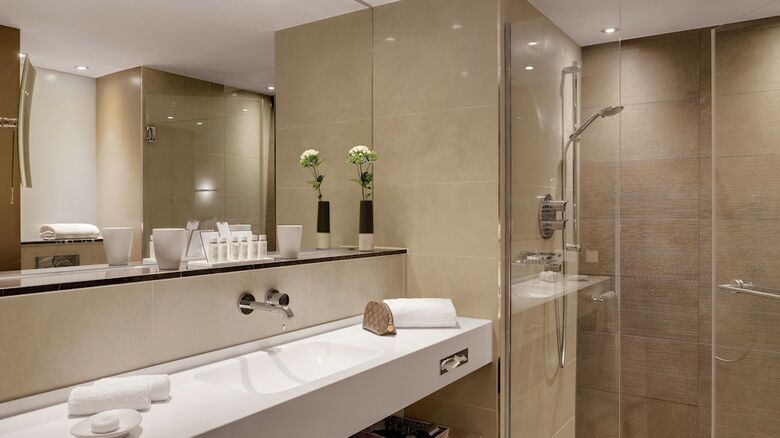 Steigenberger Hotel Stadt L�rrach