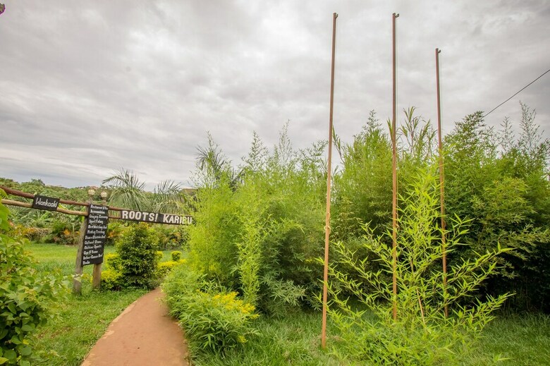 Roots Retreat And Camping Resort