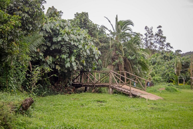 Roots Retreat And Camping Resort