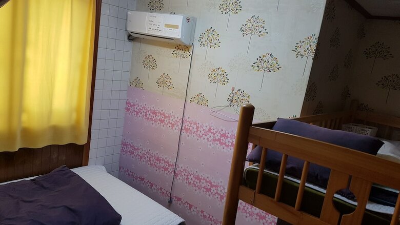 Hostal Springflower Guesthouse - Hostel