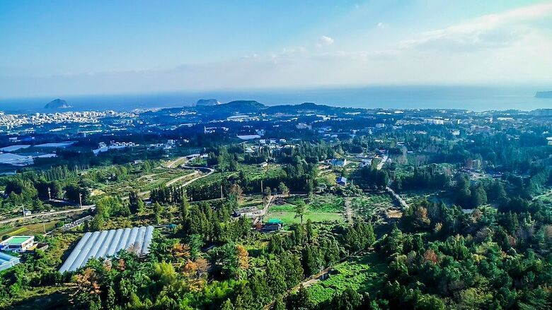 Jeju Casablanca