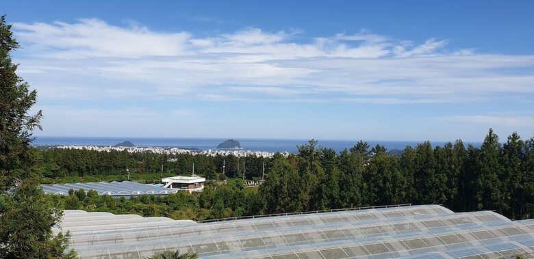 Jeju Casablanca