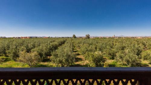 Hotel L�oliveraie de L�atlas