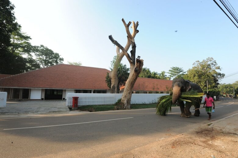 Hotel Ekho Sigiriya