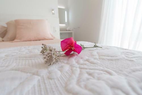 Agroturisme Son Vives - Adults Only