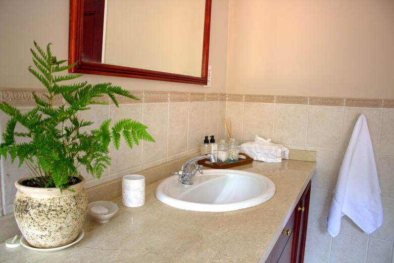 Apartamentos Wild Olive Executive Suite