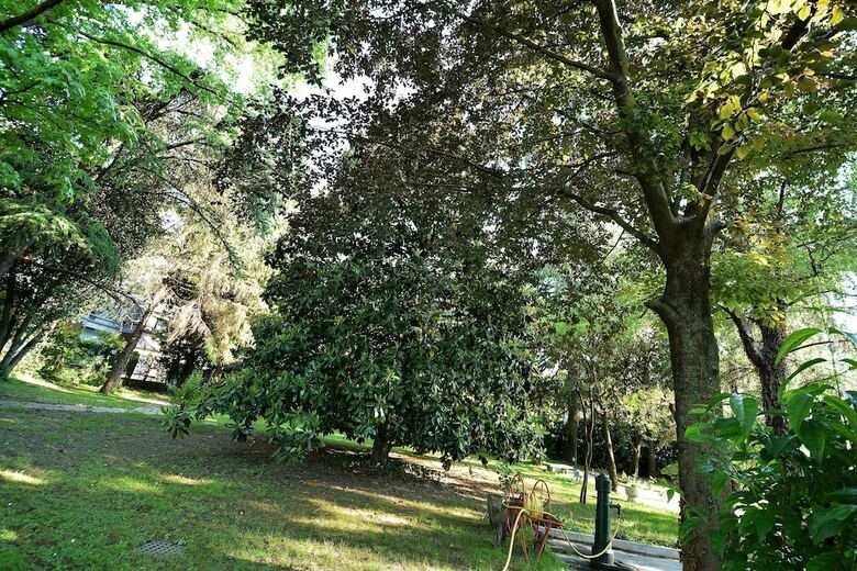 Apartamento Chiara