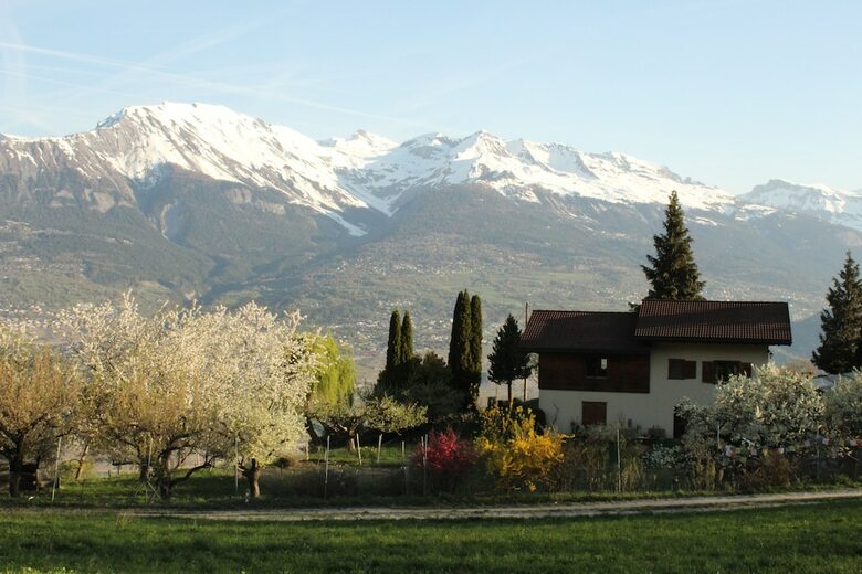 Bed & Breakfast Bellevie Bnb