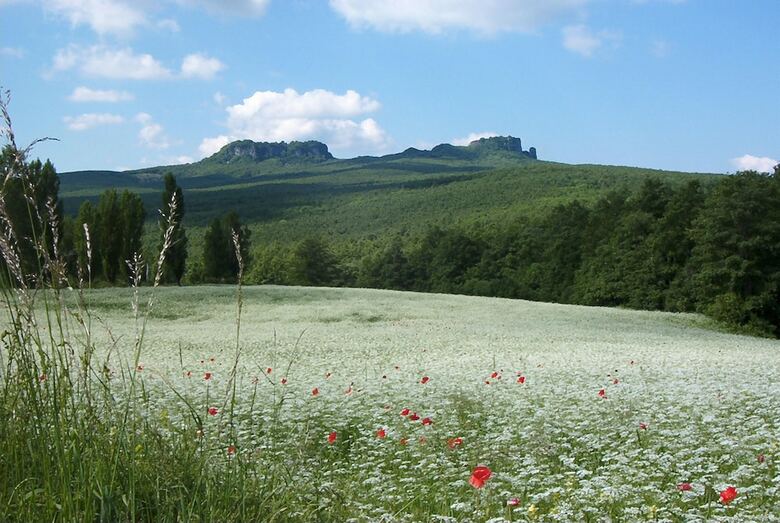 Bed & Breakfast Casale Civetta