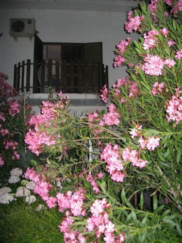 Hostal Casa Morgado