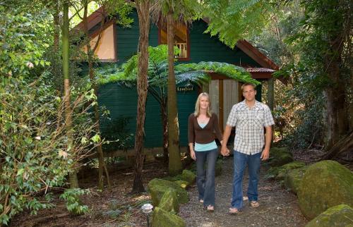 Lodge Springbrook Lyrebird Retreat