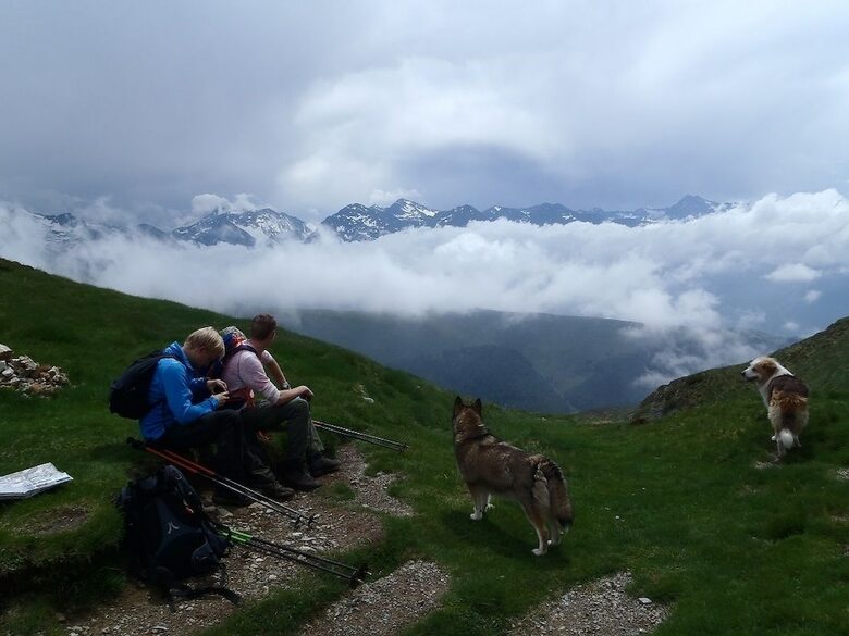 Bed & Breakfast Pyr�n�es Emotions