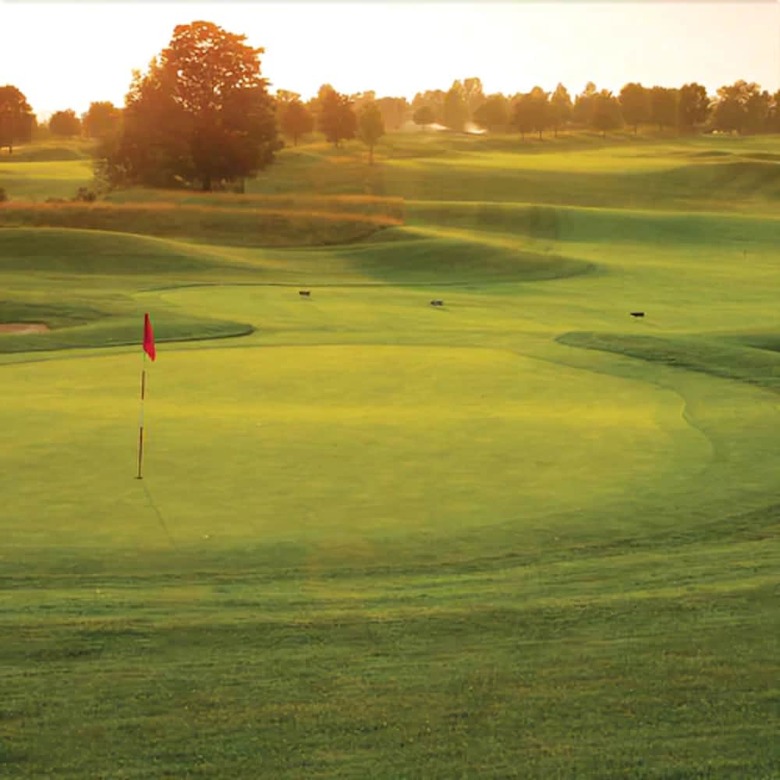 Hotel Forest Golf Club And Inn