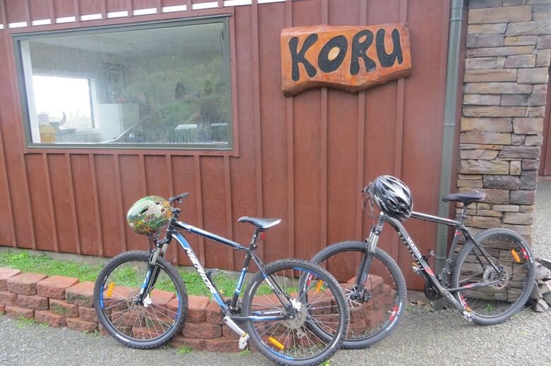 Koru Beach Cabin & B&B Homestay