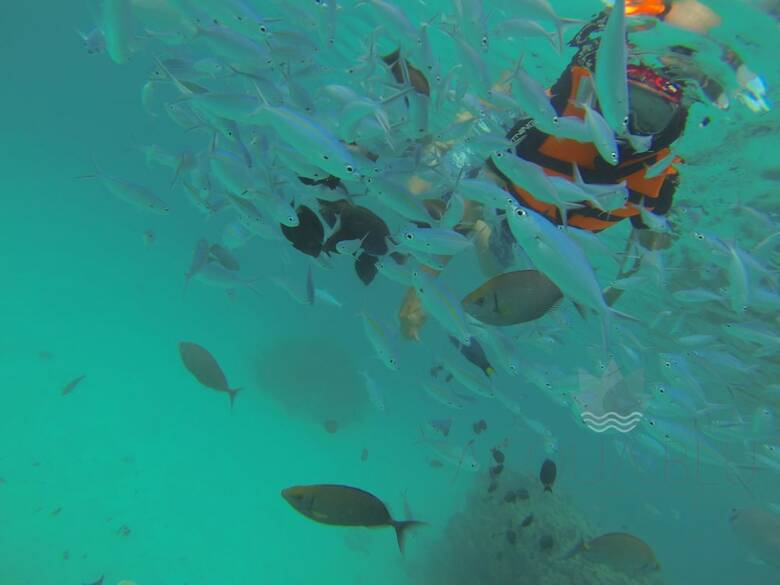 Hotel Acqua Blu Rasdhoo