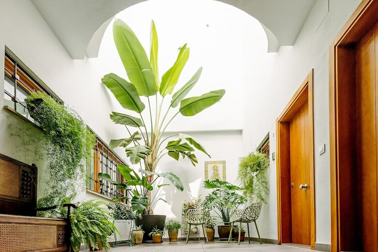 Apartamentos Barracart