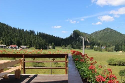 Hostal Penzi�n ?adov�