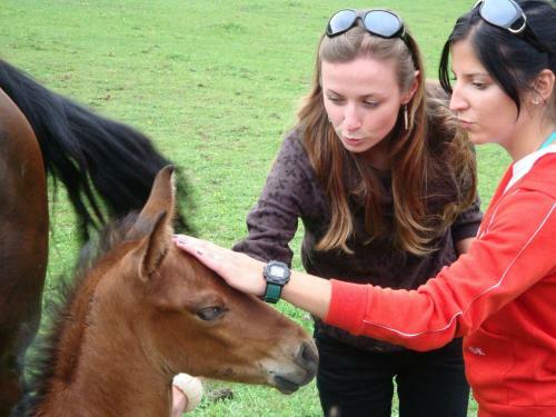 Hostal Penzi�n ?adov�