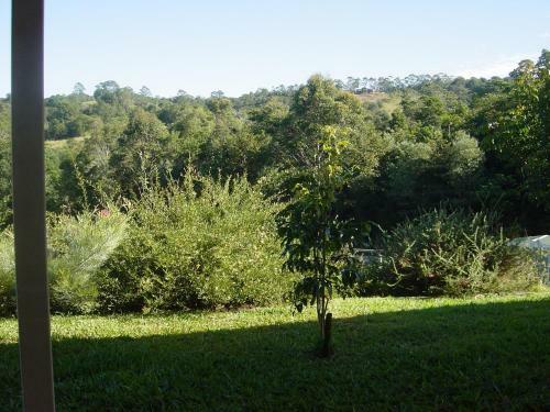 Coverdales B&B At Eumundi