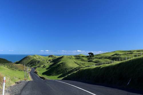Waiuku Motel