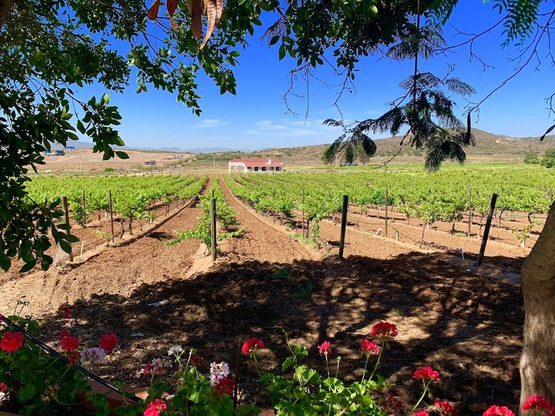 Bed & Breakfast Rancho El Parral