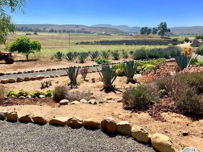 Bed & Breakfast Rancho El Parral
