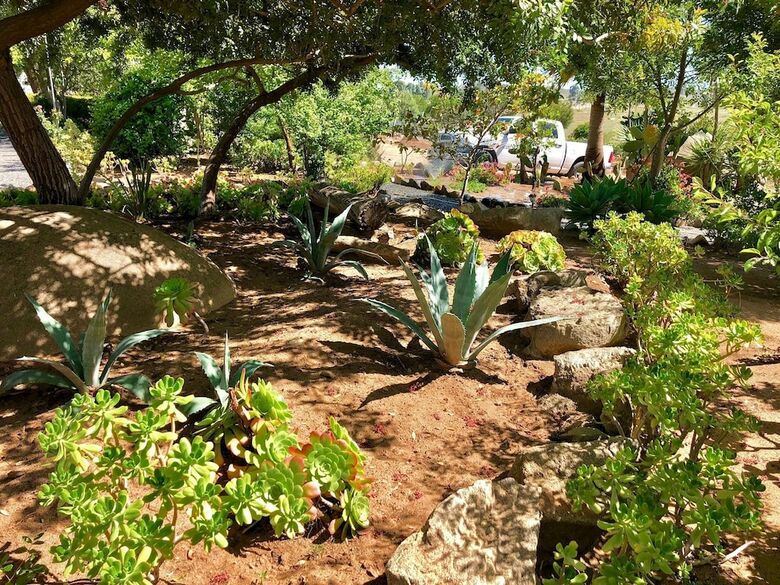 Bed & Breakfast Rancho El Parral