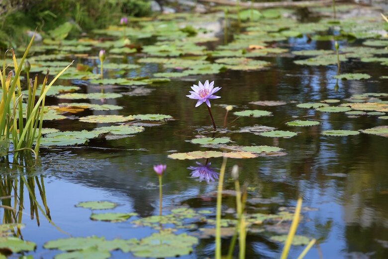 Bed & Breakfast Hualien Flowers Villa