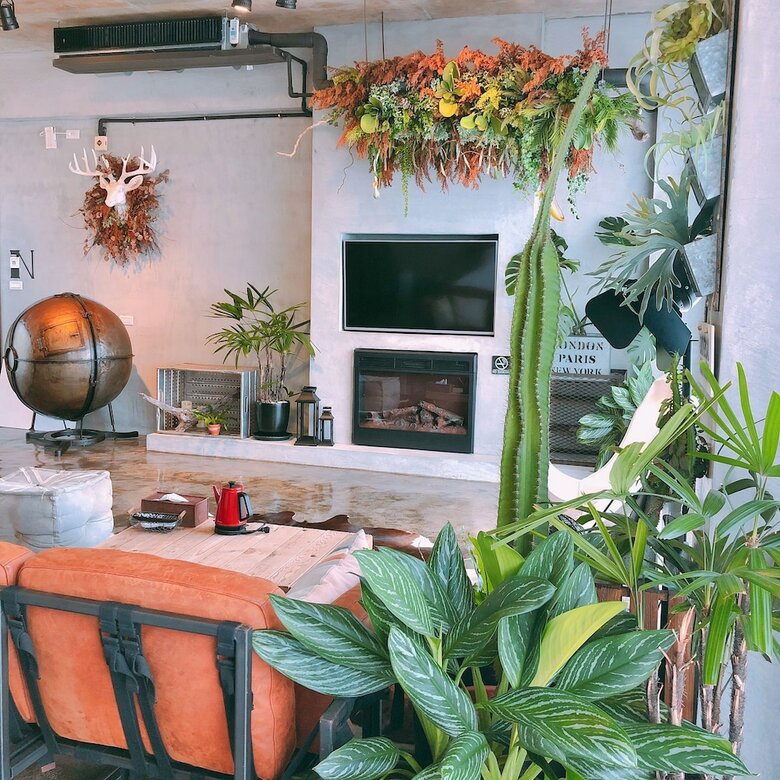 Noosa Coast B&B