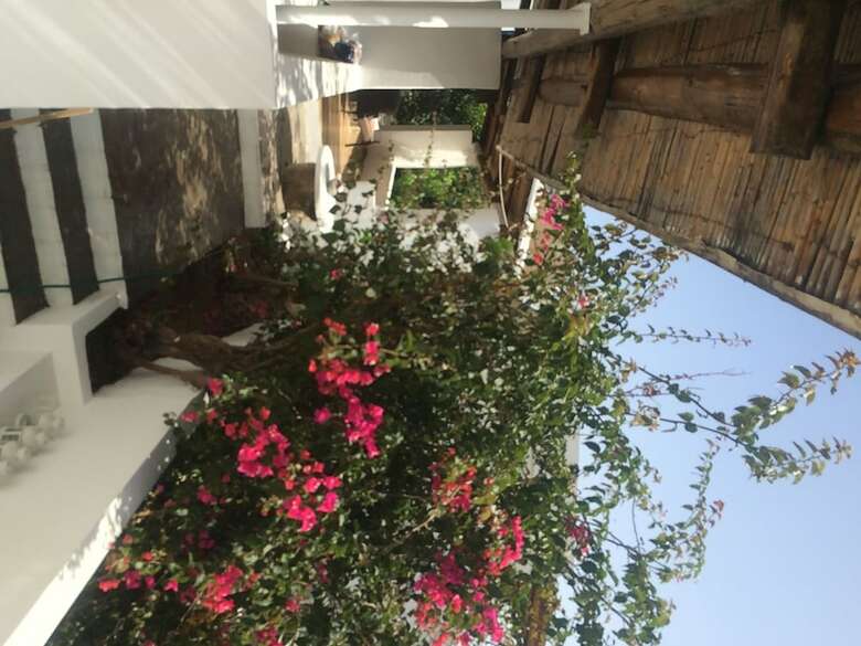 Hotel Panareal