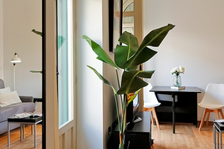 Iloftmalaga Apartamentos Souvir�n
