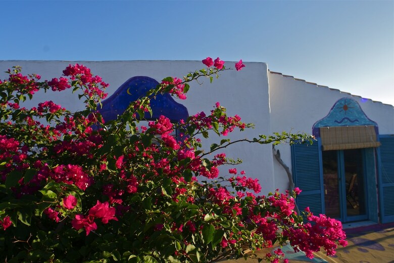 Poecylia Resort