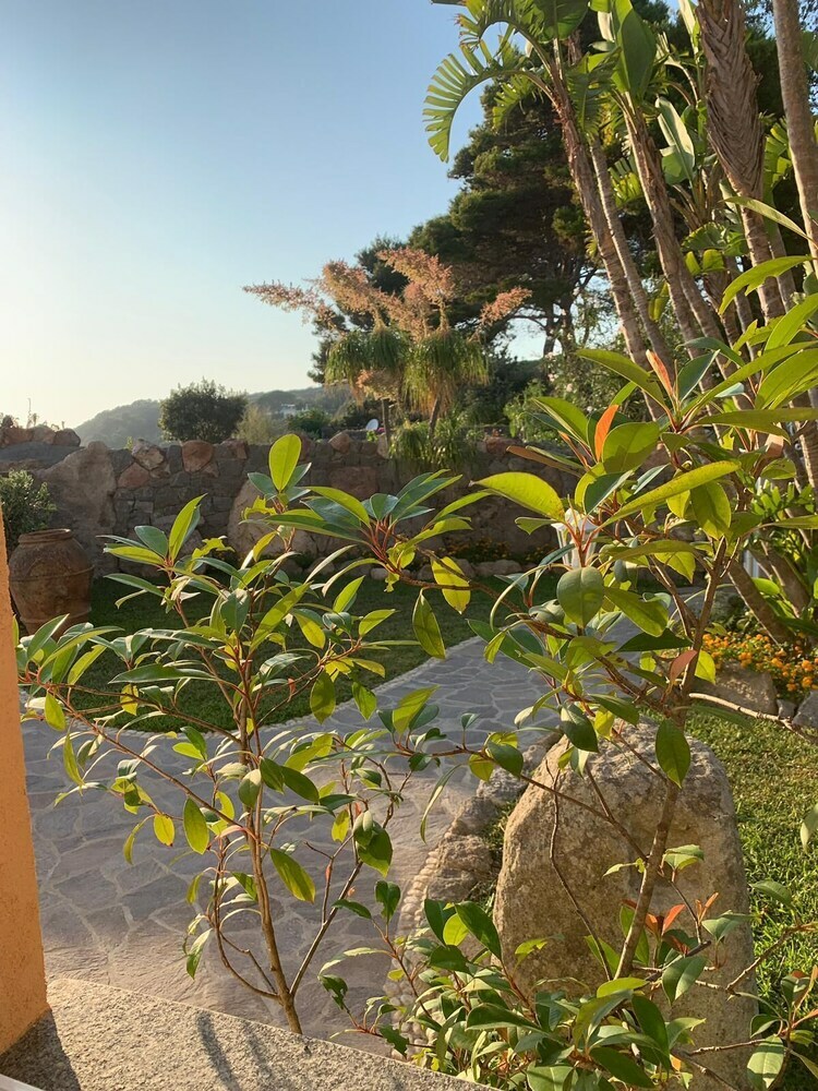 Villa Dei Lecci