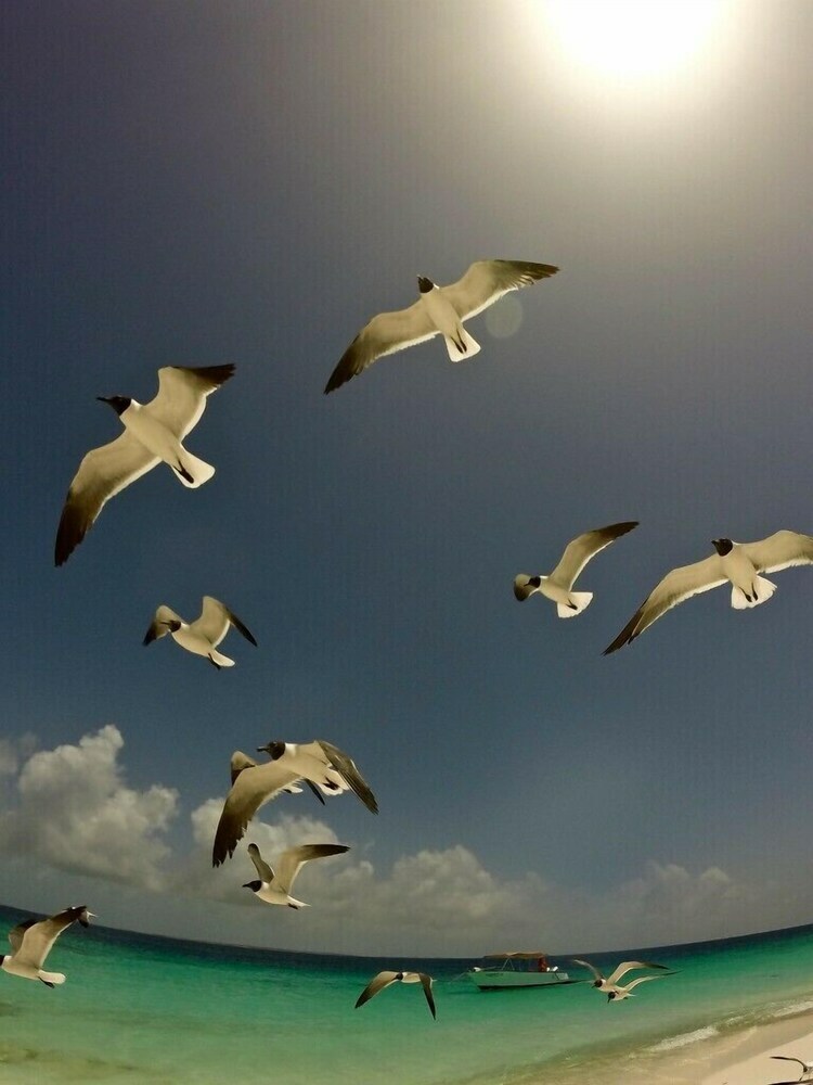 Posada Bequeve Los Roques