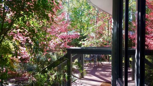 Villa Dalrymples Guest Cottages