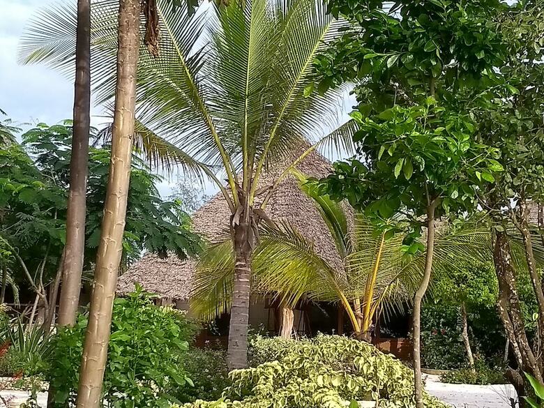 Hotel Marafiki Bungalows