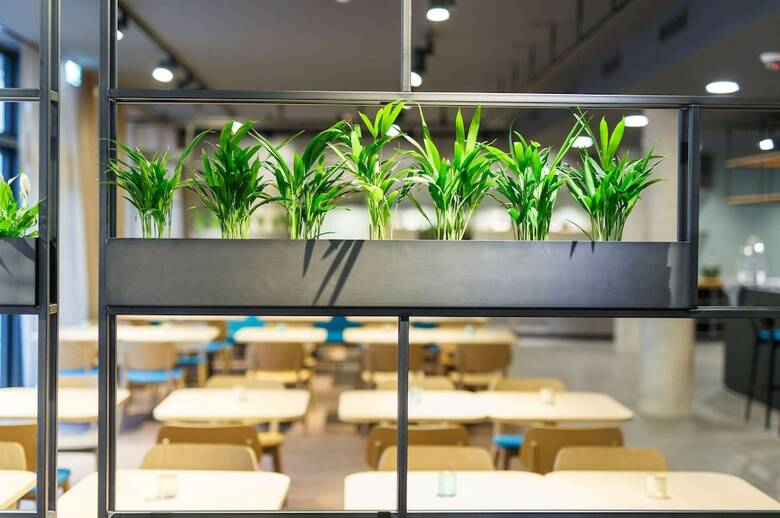 Arthotel Ana Momentum
