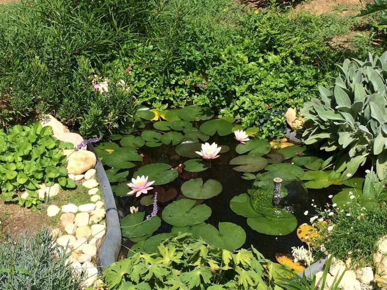 Bed & Breakfast Mas Saint-ange