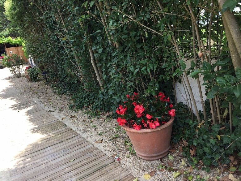 Bed & Breakfast Mas Saint-ange