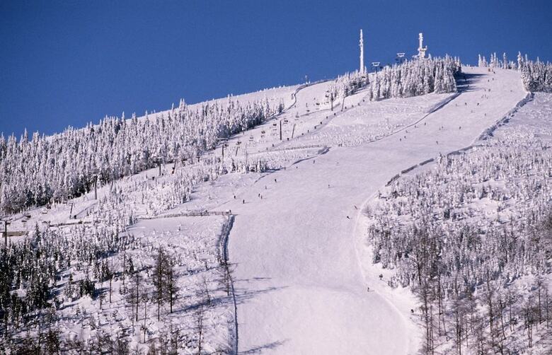Hotel T?i R??e