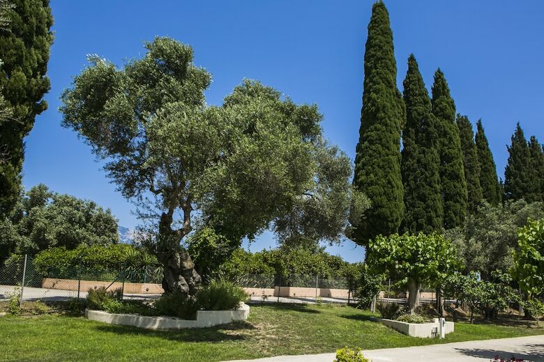 Apartamentos Cypress Garden Villas