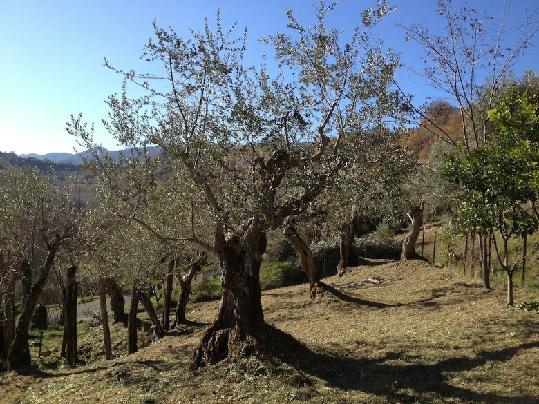Bed & Breakfast Il Casale Dell'ingegnere