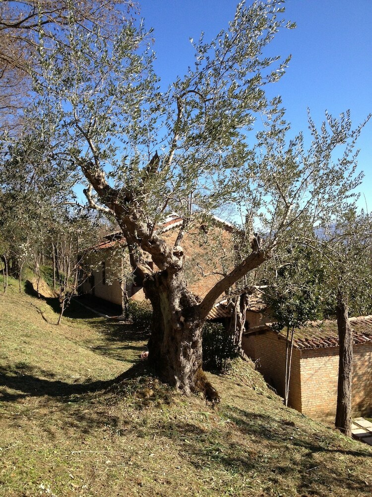 Bed & Breakfast Il Casale Dell'ingegnere