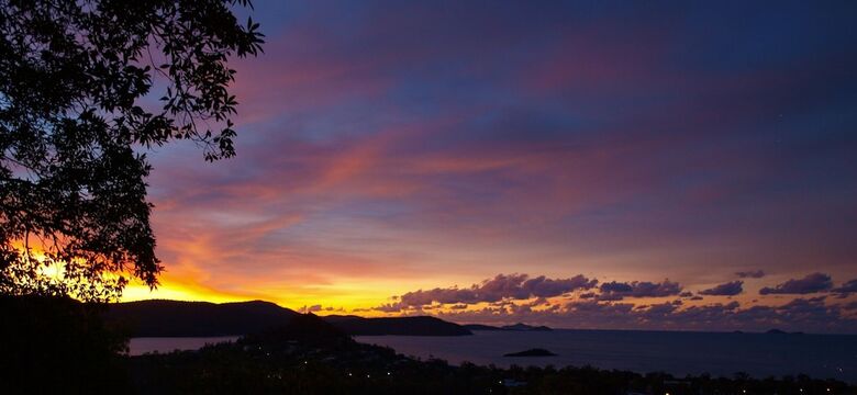 Hotel Whitsundays Rainforest Retreat