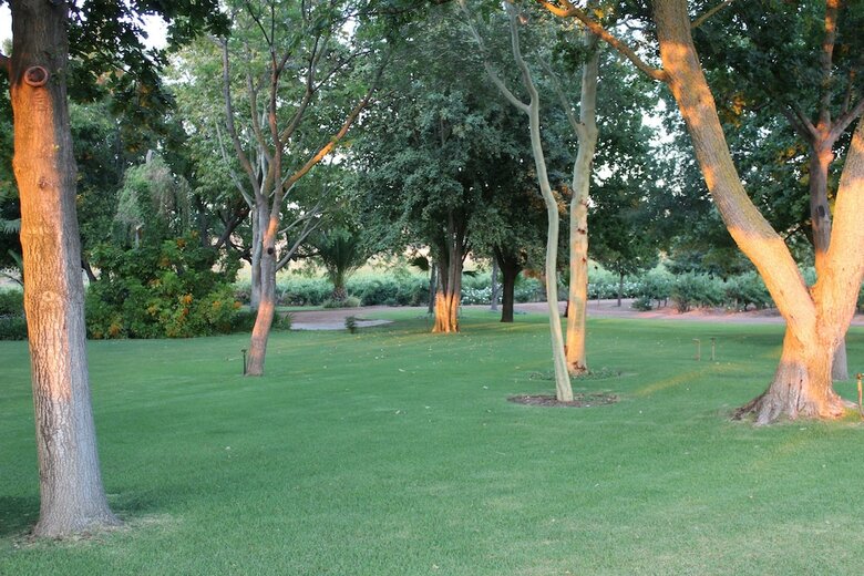 Hotel Moreson Guest Farm