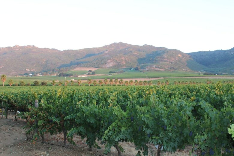 Hotel Moreson Guest Farm